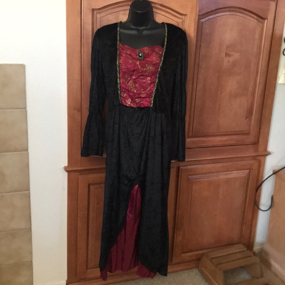 Gothic Renaissance Dress